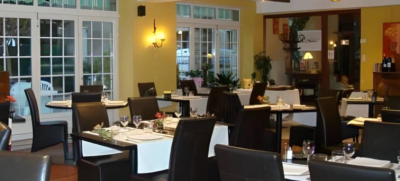 金狮酒店(Hotel le Lion d'Or)图片