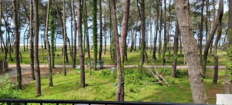 Sommer by Sveta / Лето у Светы图片