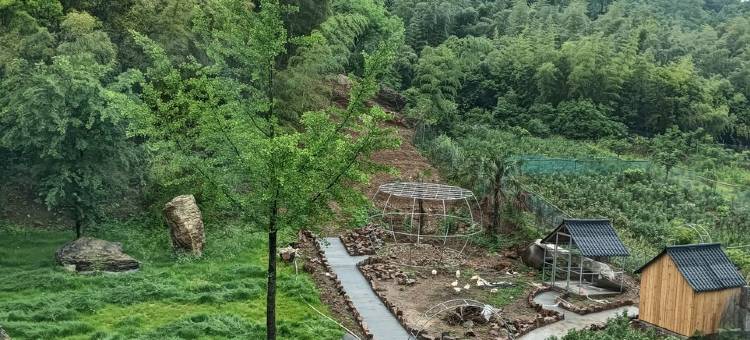 良栖竹院民宿图片