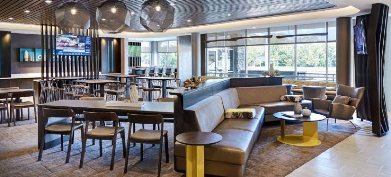 万豪斯泊林山套房酒店 - 坦帕布兰登(SpringHill Suites Tampa Downtown)图片