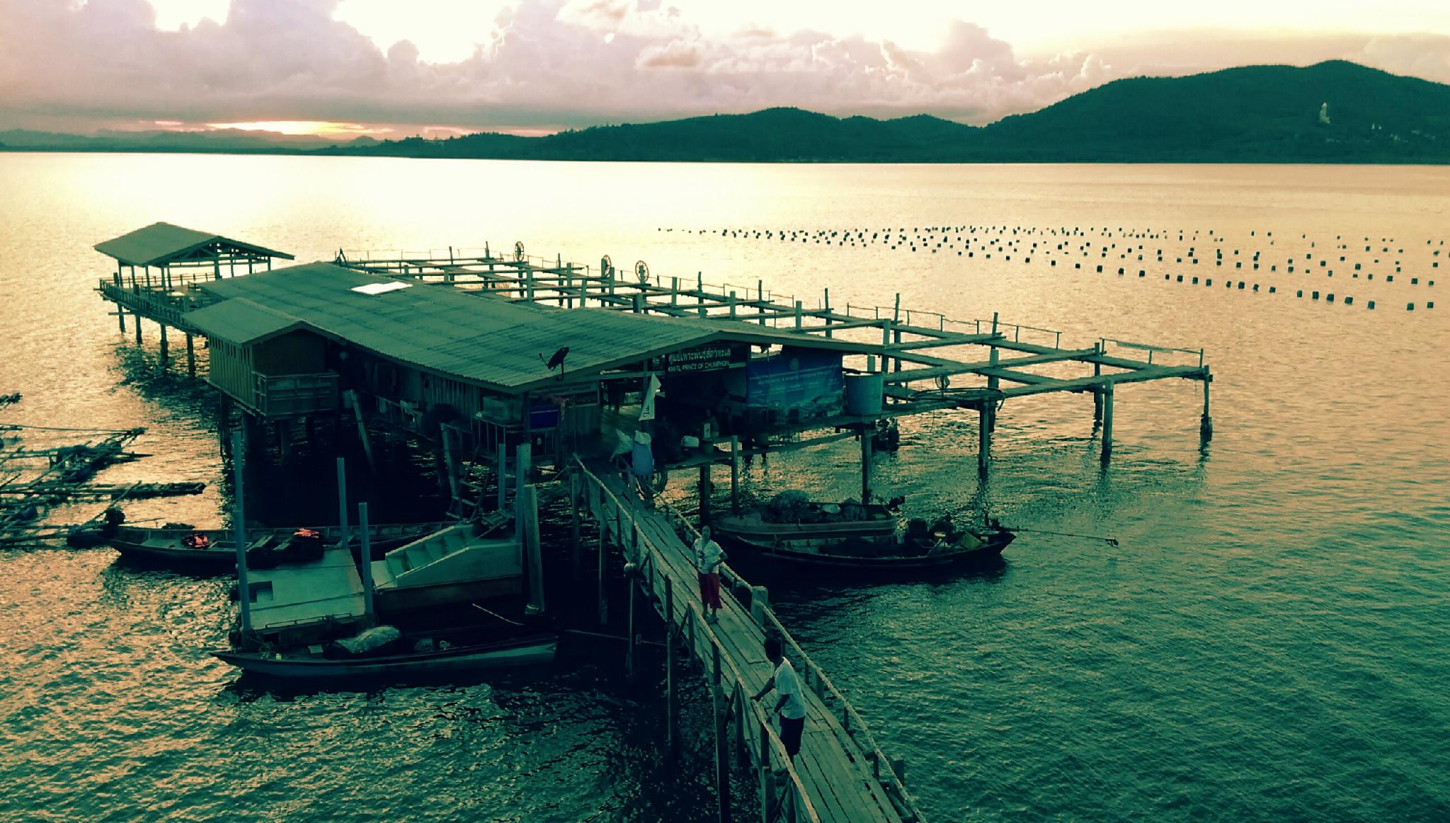 Salsa Hostel Over view