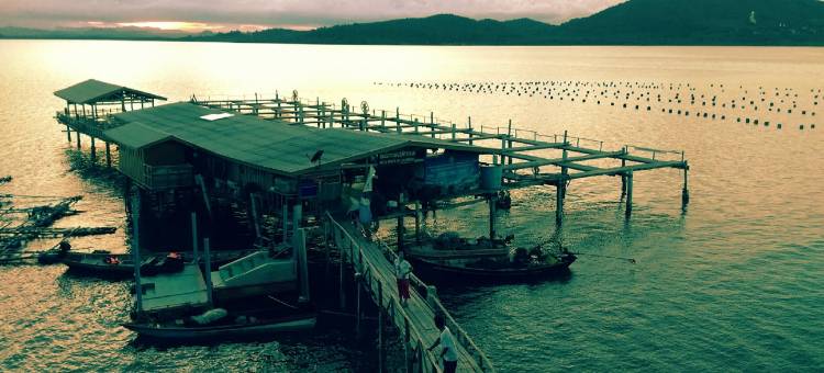 莎莎旅馆(Salsa Hostel)图片