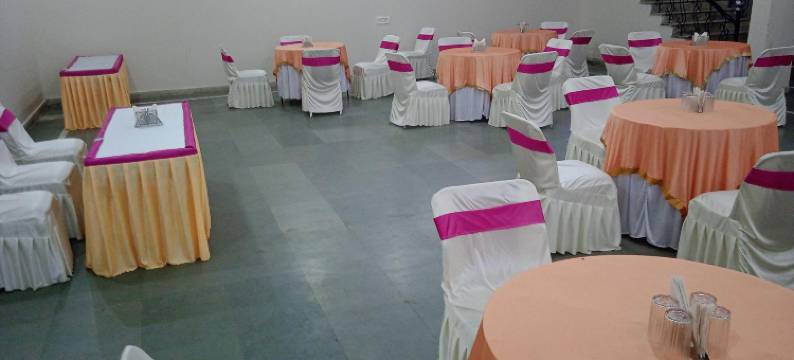 Hotel Narayan Palace图片