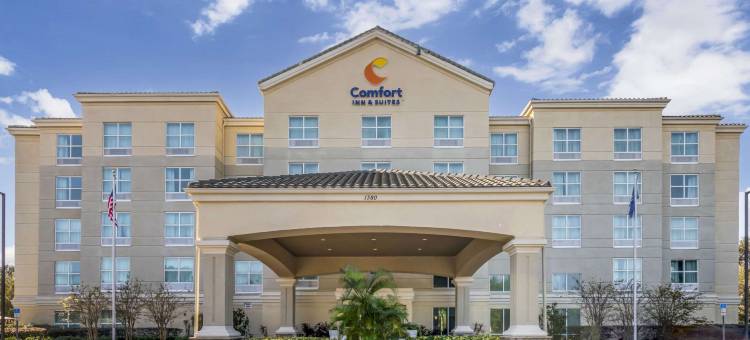 塔瓦雷斯北舒适套房酒店(Comfort Inn & Suites Tavares North)图片