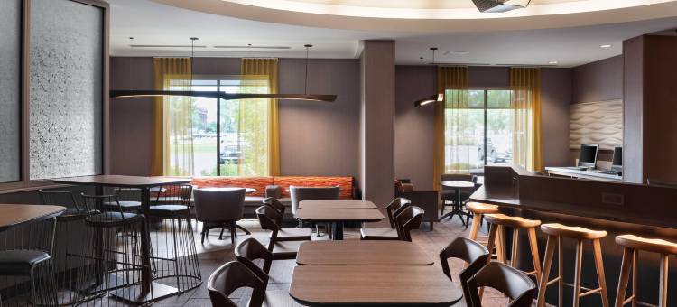 锡拉丘兹卡里尔环岛万豪SpringHill酒店(SpringHill Suites Syracuse Carrier Circle)图片