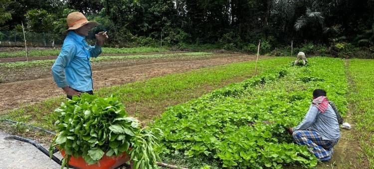 位于丹绒马林的3卧室平房-108平方米|带2个独立浴室(MS Homestay Tanjong Malim (Muslim Only))图片