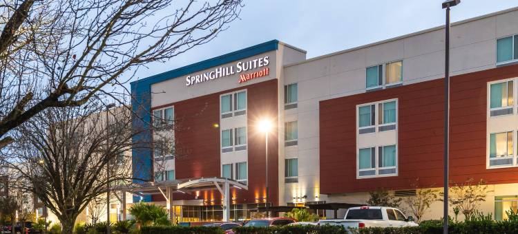 克利夫兰比奇伍德万豪SpringHill Suites 酒店(SpringHill Suites Houston Baytown)图片