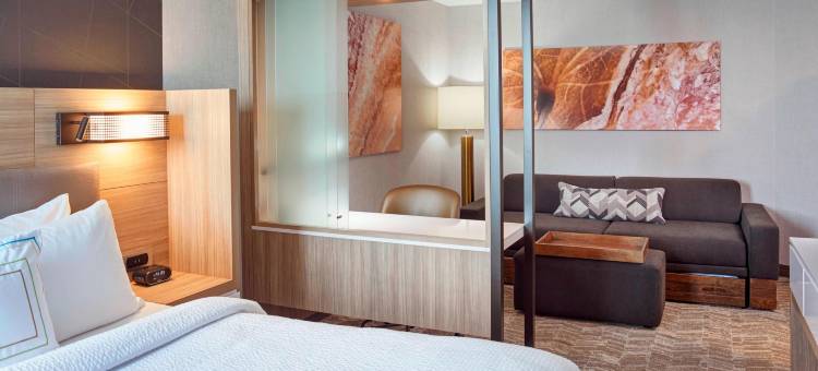 大急流城西SpringHill Suites酒店(SpringHill Suites Grand Rapids West)图片