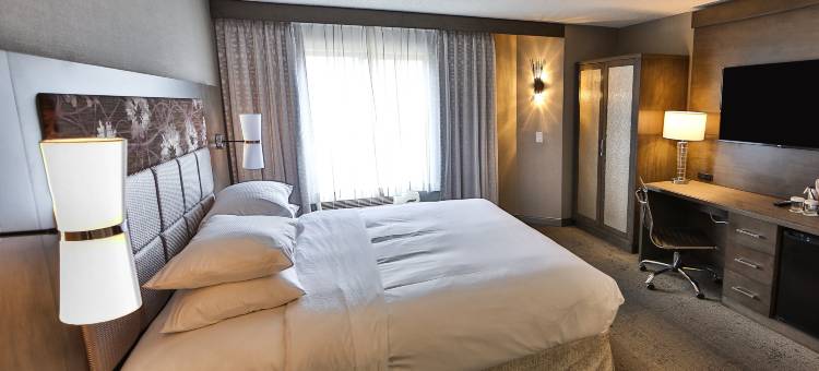 亚特兰大阿尔普哈雷塔希尔顿逸林酒店(DoubleTree by Hilton Hotel Atlanta-Alpharetta)图片