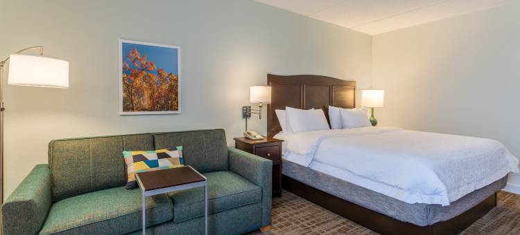 希尔顿欢朋酒店-波士顿皮博迪(Hampton Inn Boston/Peabody)图片