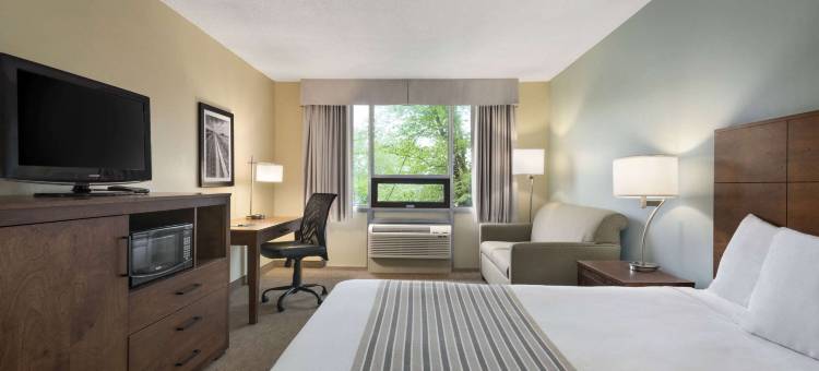 Travelodge by Wyndham Sydney图片