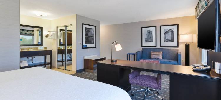 希尔顿欢朋套房酒店-弗林特大布兰克(Hampton Inn & Suites Flint/Grand Blanc)图片