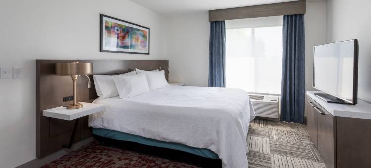 希尔顿花园明尼阿波利斯圣保罗肖尔维尤酒店(Hilton Garden Inn Minneapolis St. Paul-Shoreview)图片