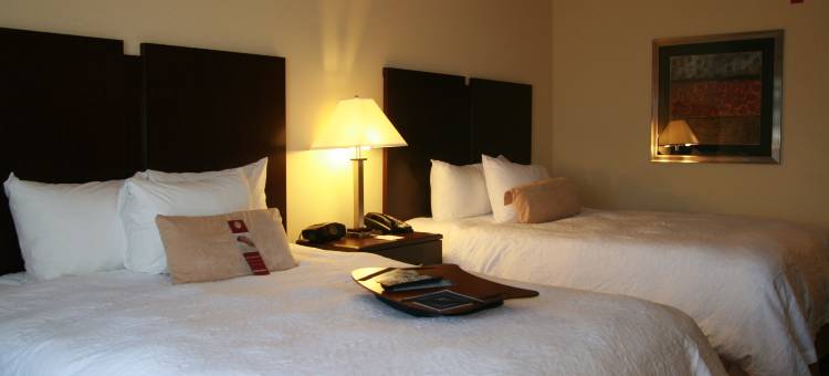 奥兰多约翰杨大路/南公园欢朋套房酒店(Hampton Inn & Suites Orlando-John Young Pkwy/S Park)图片