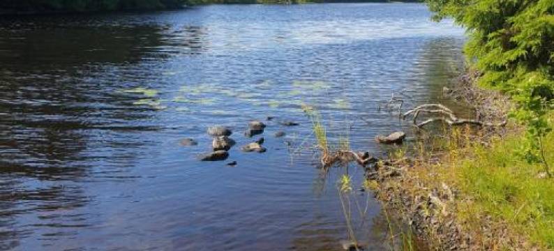 Cabin Near Lake and Beautiful Nature Reserve.图片