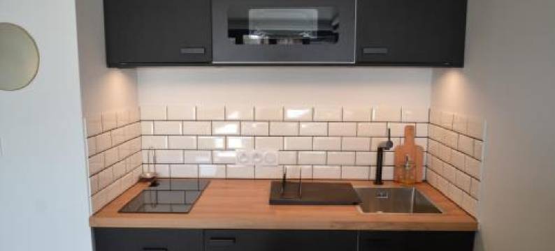 La Griotte - Studio Tout Confort - Lyon - Tassin图片