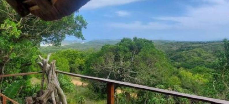 Oysterbay Nature Retreat图片