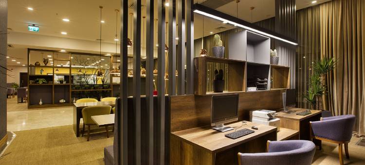 希尔顿花园旅馆-科贾埃利瑟克尔皮纳(Hilton Garden Inn Kocaeli Sekerpinar)图片