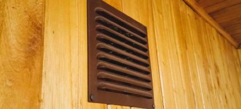 100 anos cipres图片