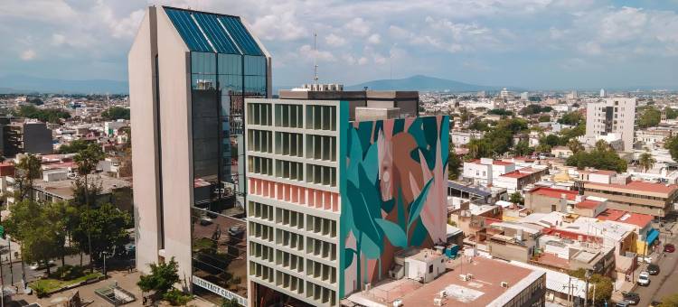 瓜达拉哈拉赛琳娜酒店(Hotel Olá Chapultepec)图片