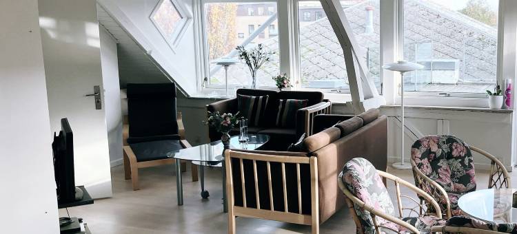 维堡别墅公寓(Villa Apartments Viborg)图片
