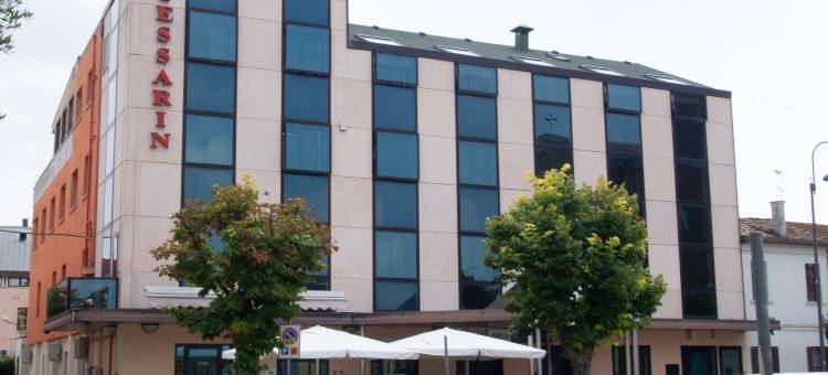 特萨林酒店(Hotel Tessarin)图片