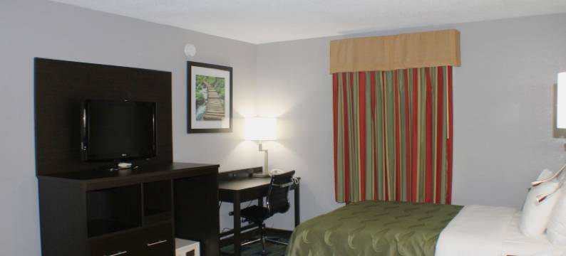 西贝德福德凯艺套房酒店(Quality Inn & Suites Bedford West)图片