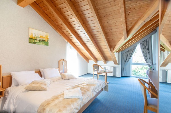 Hotel Bessunger Forst Hotel Overview