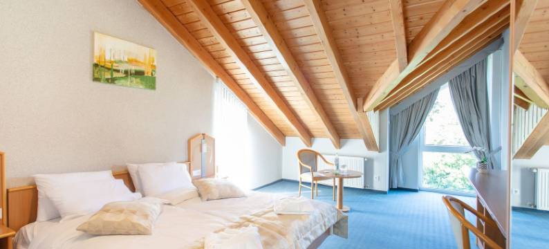 贝苏格福斯特酒店(Hotel Bessunger Forst)图片