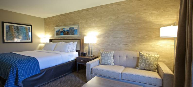 Holiday Inn Express 法戈(Holiday Inn Express FARGO SW - I-94 MEDICAL CENTER by IHG)图片