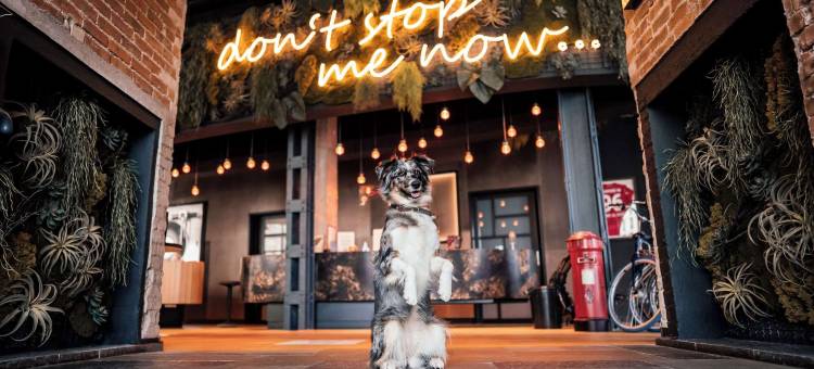 Me and All Hotel Hanover, by Hyatt图片
