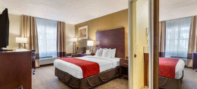 奥本-伍斯特舒适酒店(Comfort Inn Auburn-Worcester)图片