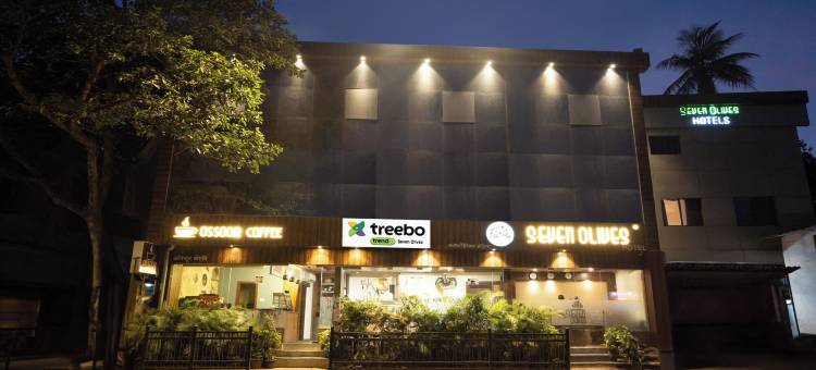 Treebo 七橄榄(Treebo Seven Olives)图片