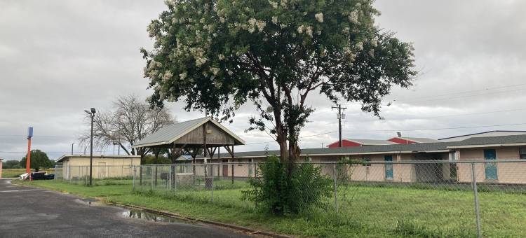 Capri汽车旅馆(Capri Motel)图片