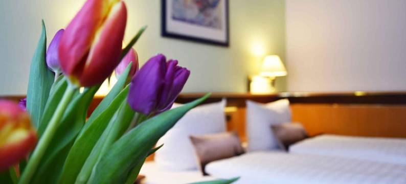 Zum Hirsch乡村酒店(Landhotel Zum Hirsch)图片