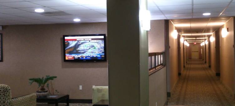 杰克逊I-40舒适酒店(Comfort Inn Jackson I-40)图片