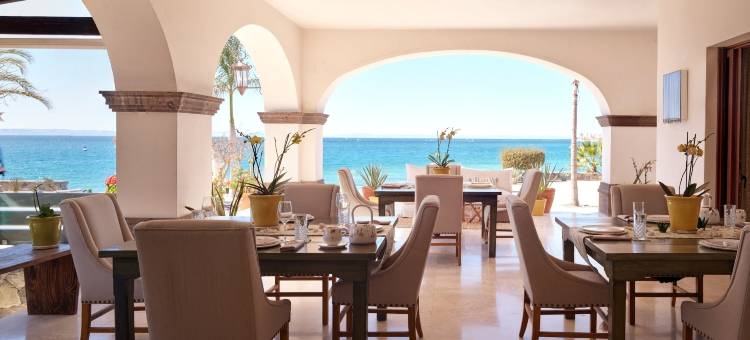 兰花之家巴哈和海滩俱乐部(Orchid House Baja)图片