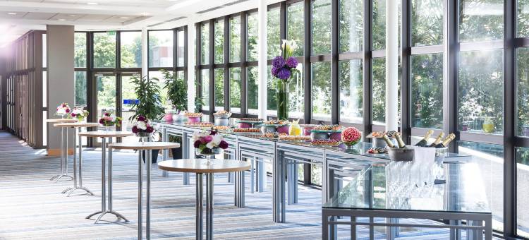 斯特拉斯堡希尔顿酒店(Hilton Strasbourg)图片