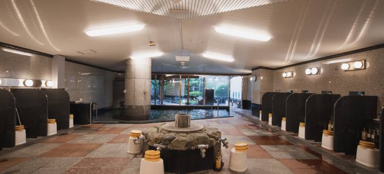 道后温泉桩馆酒店(Dogo Onsen Hotel Tsubakikan)图片