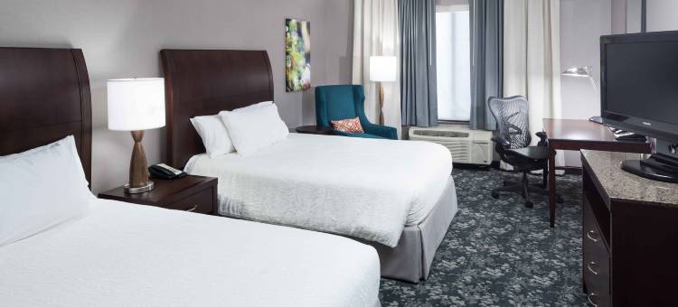 底特律诺维希尔顿花园客栈(HIlton Garden Inn Detroit/Novi)图片