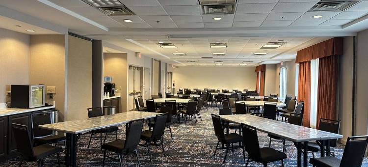 芝加哥奥克布鲁克阳台希尔顿花园酒店(Hilton Garden Inn Chicago/Oakbrook Terrace)图片