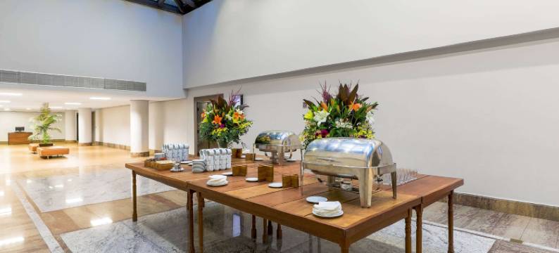 伊比拉普埃拉会议中心温德姆酒店(Wyndham Sao Paulo Ibirapuera Convention Plaza Hotel)图片