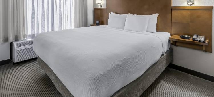 夏洛特机场/比利格雷厄姆大道凯悦嘉轩酒店(Hyatt Place Charlotte Airport Billy Graham Pkwy)图片