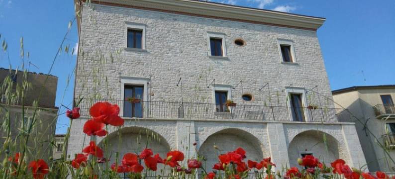 帕拉佐 1892 号酒店(Palazzo 1892 Guest House)图片