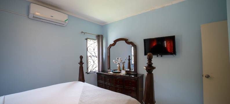 尼克斯花园别墅酒店(Nickels Garden Villas)图片