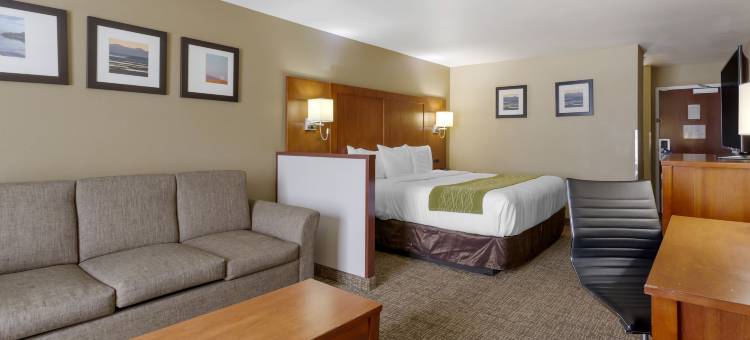 舒适套房酒店-伍兹克罗斯/盐湖城北(Comfort Inn & Suites Woods Cross - Salt Lake City North)图片