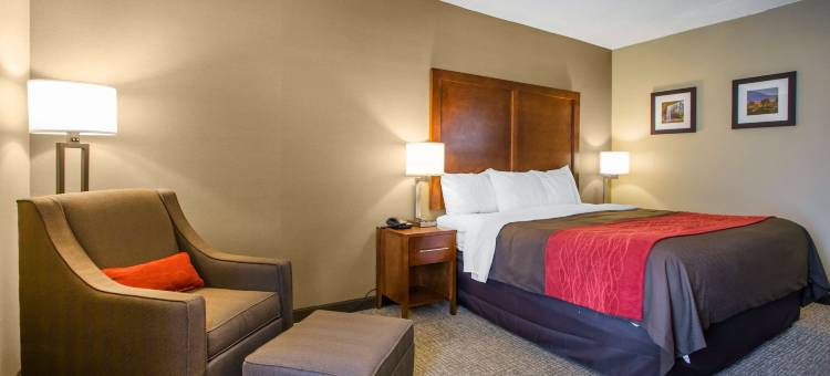 舒适酒店-代顿胡伯高地(Comfort Inn Dayton - Huber Heights)图片