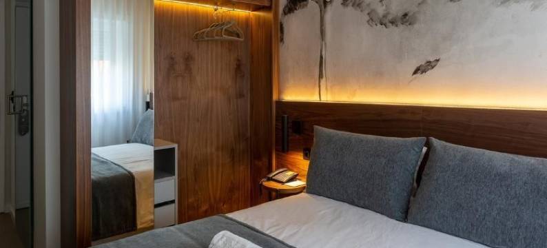 阿丰威酒店(Hotel Afonso V & Spa)图片