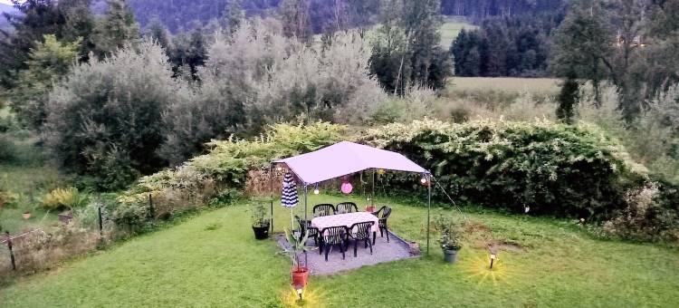 阿列古斯塔(Alie Gusta)图片