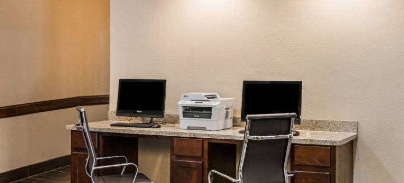 舒适酒店及套房(Comfort Inn & Suites Pharr/McAllen)图片